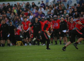 TXT Aquile vs Panthers Parma, sfida tra due franchigie storiche